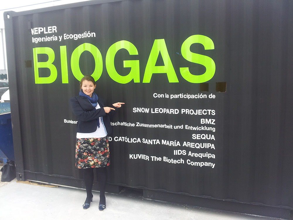 Container Biogasanlage