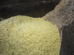 potato waste