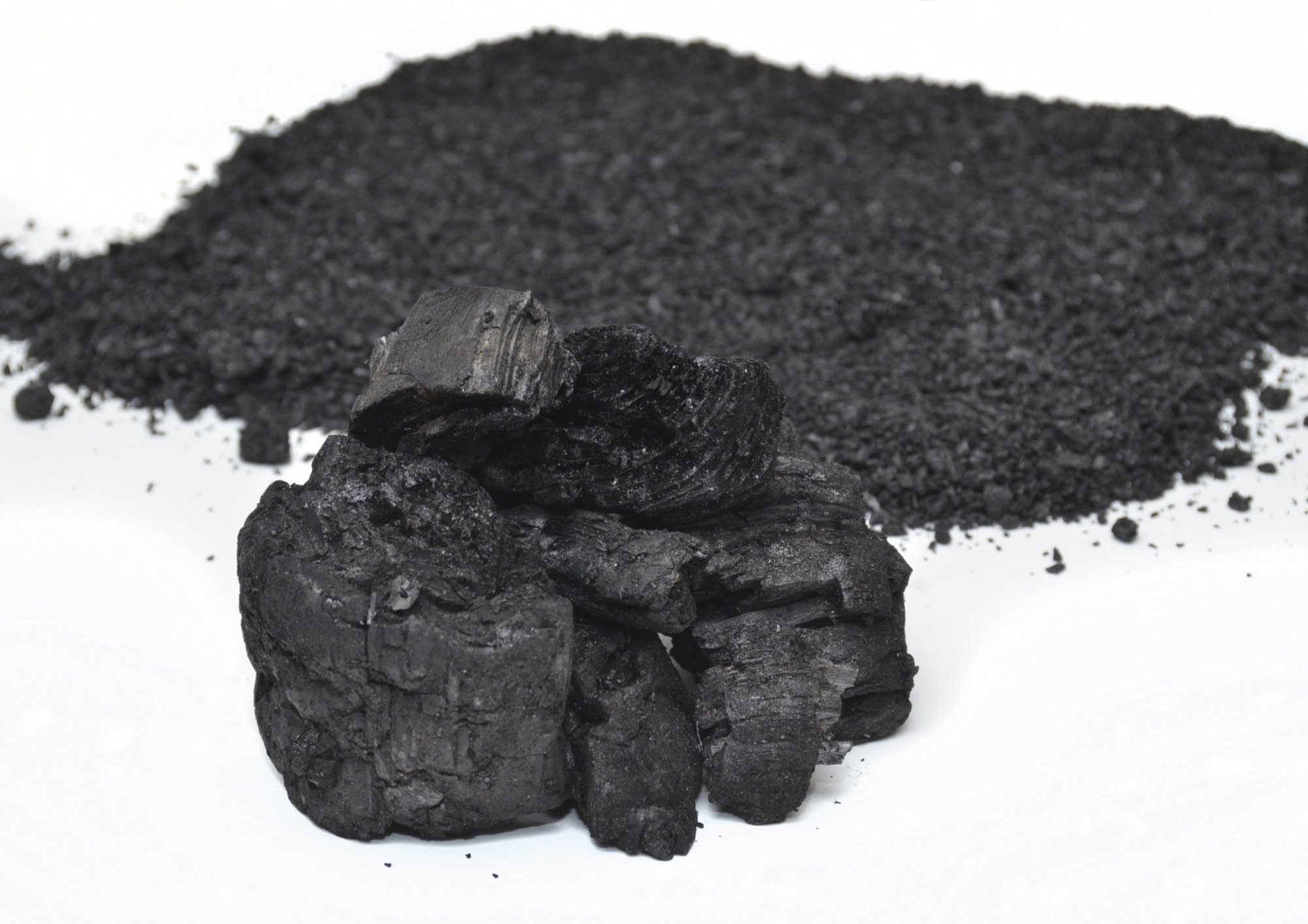 Pflanzenkohle aus der Carbon Box: grobe Stücke und feines Granulat