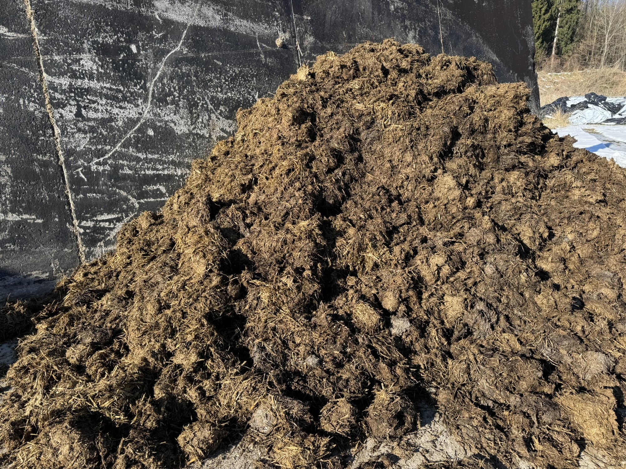 Manure as feedstock for a biogas plant